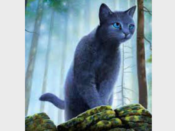 bluestar