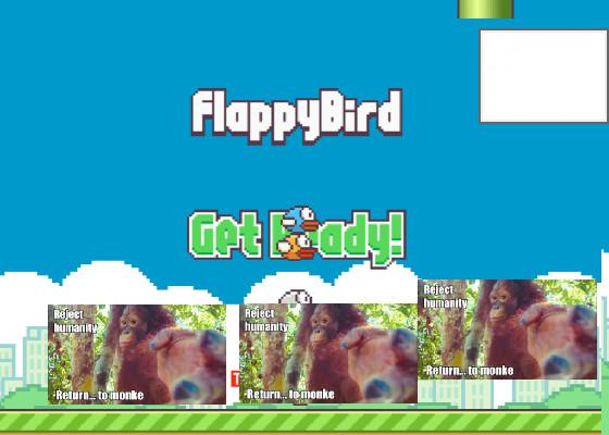 flap bird 1 1