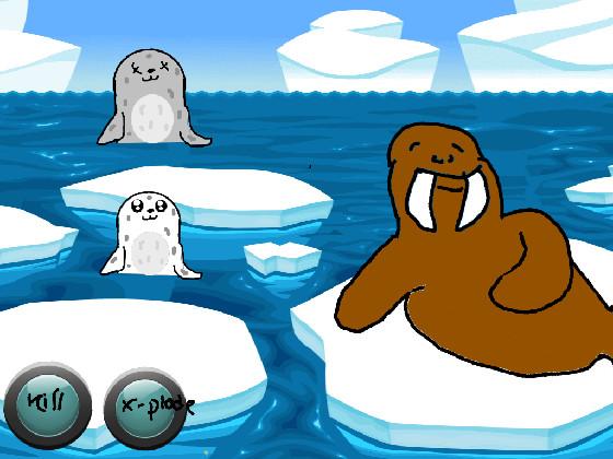 Seals and Walrus 1