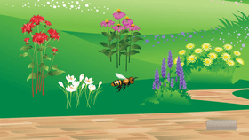 Bee Game MK