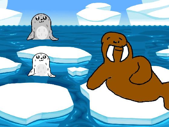 Seals and Walrus pt1