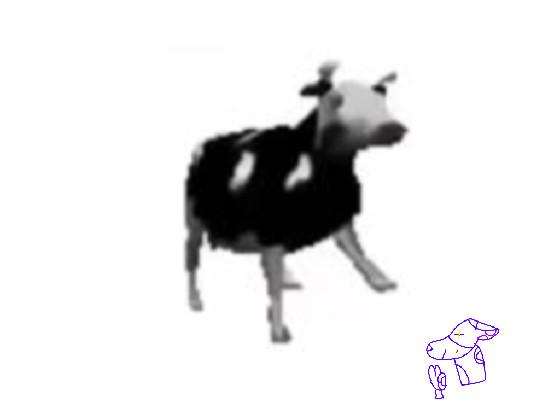 Polish Cow 1