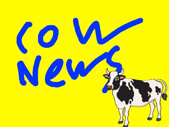 cow news