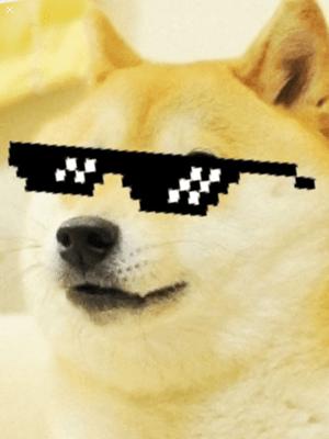 saveedg doge cliker 1