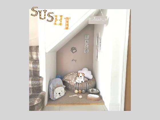 sushi’s pet room