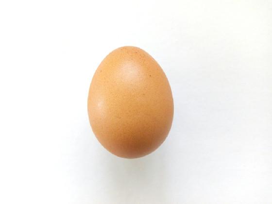 Most Viewed Egg On Tynker