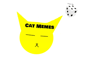 Cat Memes