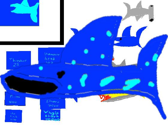 shark tycoon