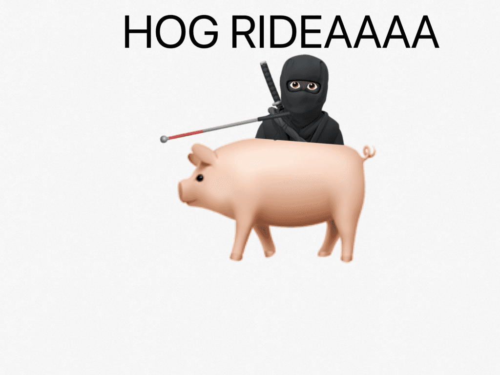 HOG RIDER