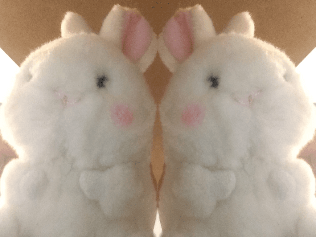 Double bunny!