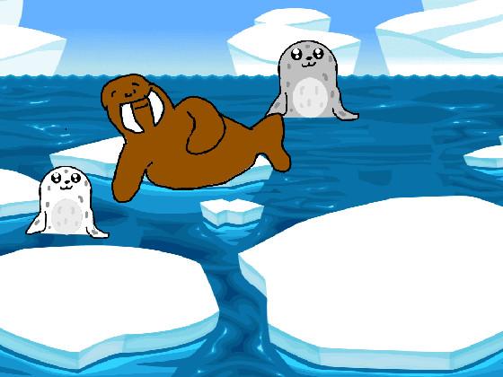 Seals and Walrus 1