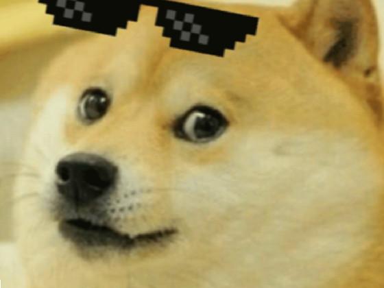 DOGE  1 1 1