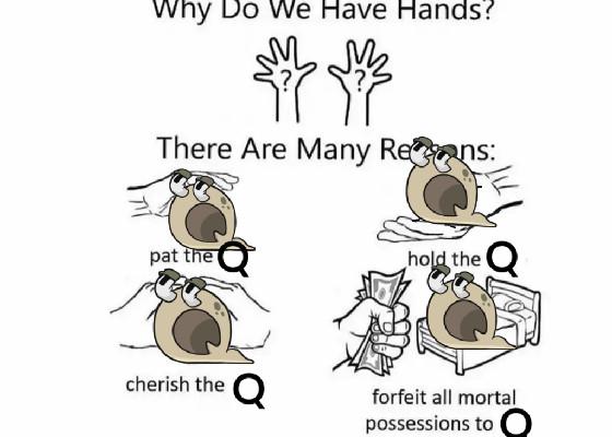 Why do we have hands? meme