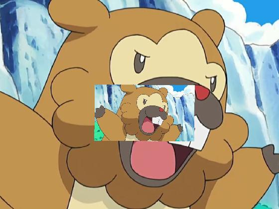 bidoof