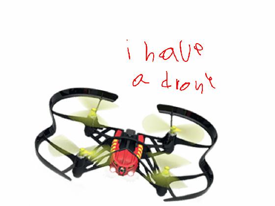 the 1 drone