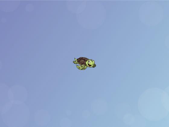 turtle spin