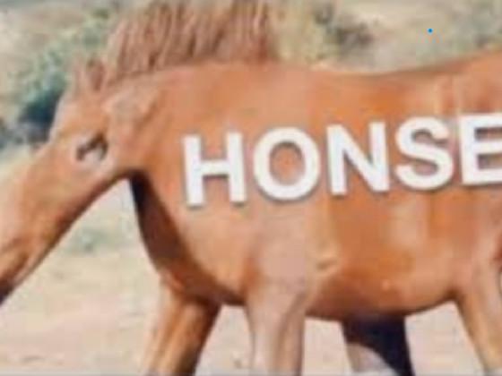 HONSE1