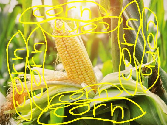 It is corn