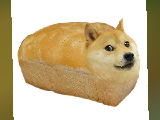 the doge eats