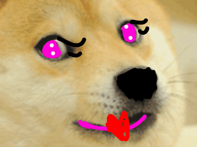 Chat with mrs.Doge 1