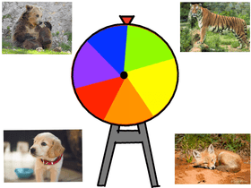 Which Animal Are You