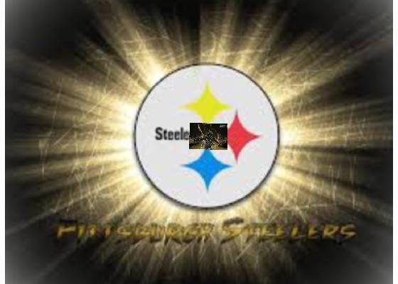 steeler fans only 2