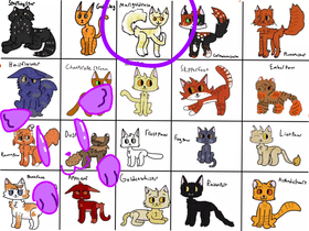 warrior cat adoptables