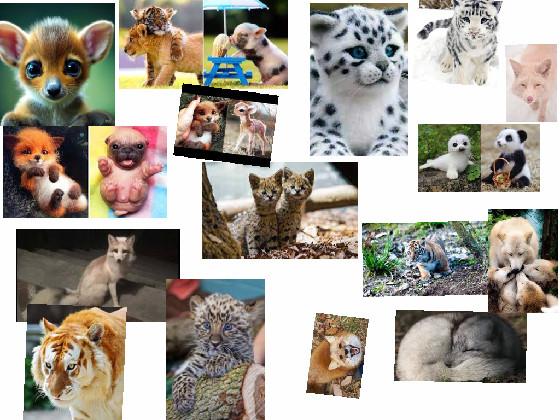 exotic cute baby animals
