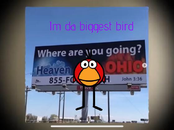 Im da bigesst birddddd