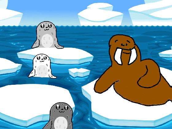 Seals and Walrus 1