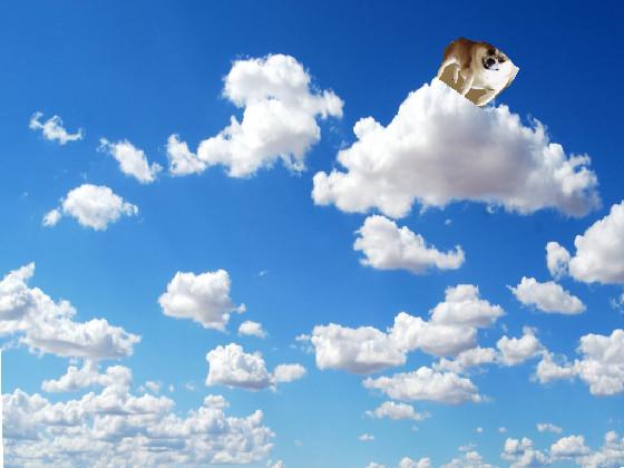 Add ur oc in the sky