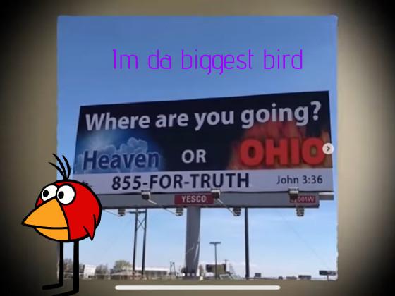 Im da bigesst birddddd 1