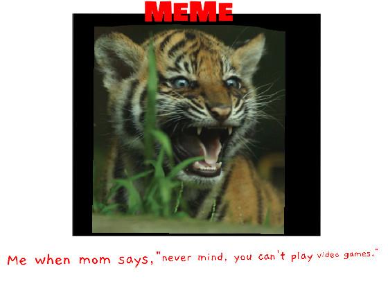 Me when mom says, [ meme ]