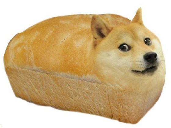 the doge eats  1