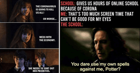 hp memes