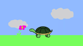 turtle art is cool