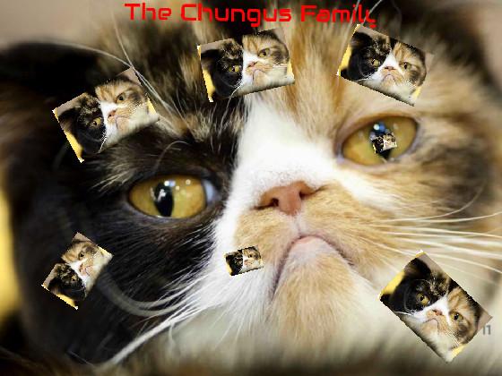 THE CHUNGUS FAMILY