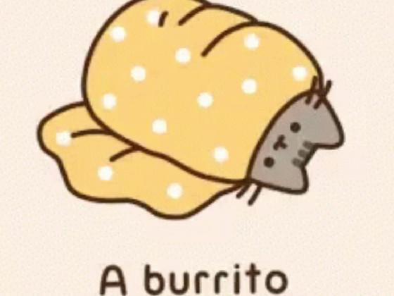 BURRITO 1 1