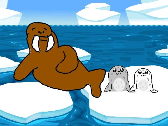 Seals and Walrus 1