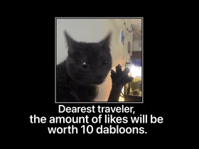 DABLOON CAT