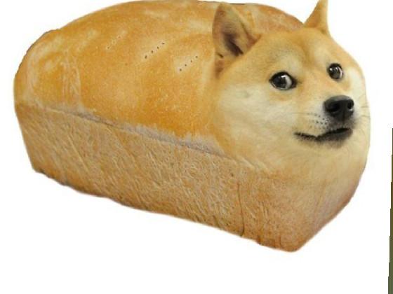 the doge eats  1 1