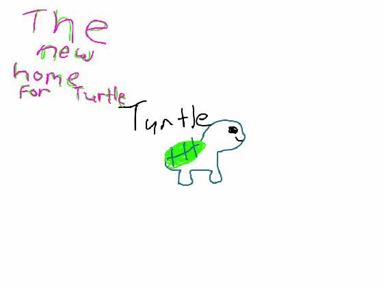 TURTLE/NEW HOME