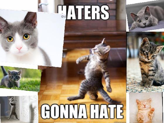 Haters Gonna Hate with cute 1