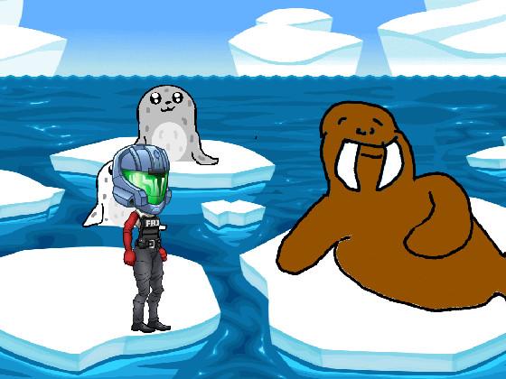 Seals and Walrus 1