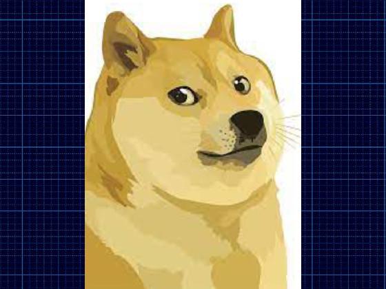 doge