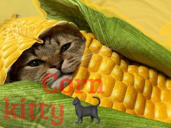 corn kitty