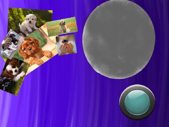 the moon cute dogs!!!!!!!!