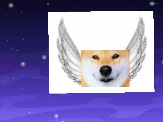 mr doge CAN FLY