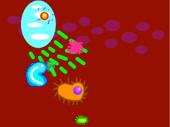 Immune System 1