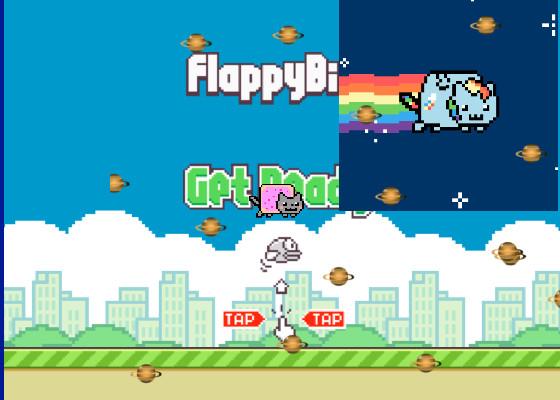 Flappy kitten!